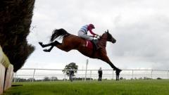 The Butcher Said in action at Bangor